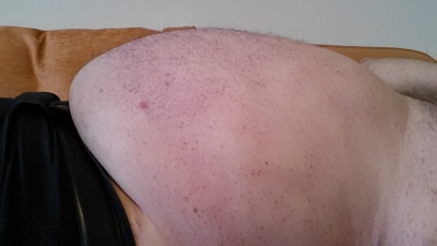 Klicken für Bild in voller Größe