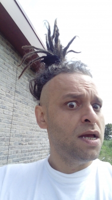 Klicken für Bild in voller Größe